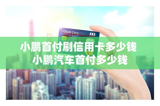 小鹏首付刷信用卡多少钱 小鹏汽车首付多少钱