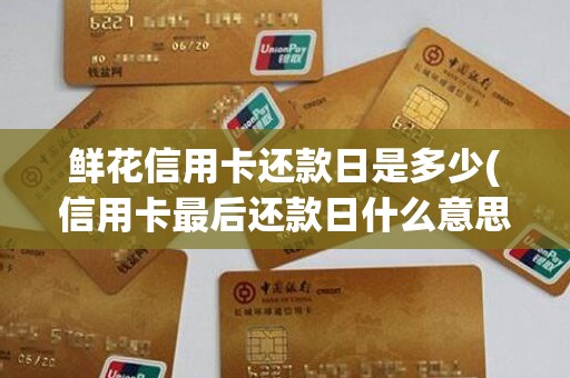 鲜花信用卡还款日是多少(信用卡最后还款日什么意思)