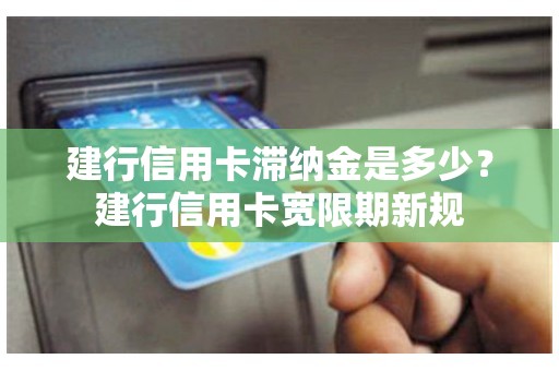 建行信用卡滞纳金是多少?建行信用卡宽限期新规 建行信用卡滞纳金是多少?建行信用卡宽限期新规