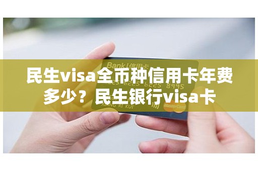 民生visa全币种信用卡年费多少？民生银行visa卡