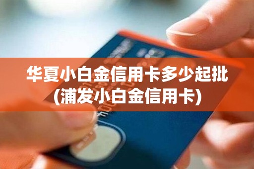 华夏小白金信用卡多少起批(浦发小白金信用卡)