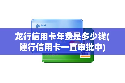 龙行信用卡年费是多少钱(建行信用卡一直审批中)