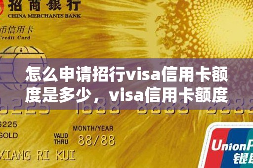 怎么申请招行visa信用卡额度是多少,visa信用卡额度多少 怎么申请招行visa信用卡额度是多少,visa信用卡额度多少