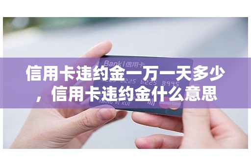 信用卡违约金一万一天多少，信用卡违约金什么意思