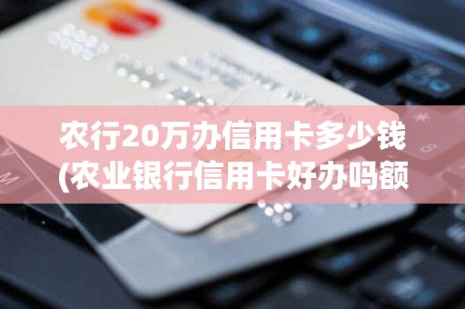 农行20万办信用卡多少钱(农业银行信用卡好办吗额度多少) 农行20万办信用卡多少钱(农业银行信用卡好办吗额度多少)