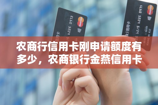农商行信用卡刚申请额度有多少，农商银行金燕信用卡额度