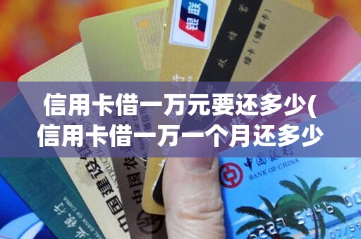 信用卡借一万元要还多少(信用卡借一万一个月还多少)