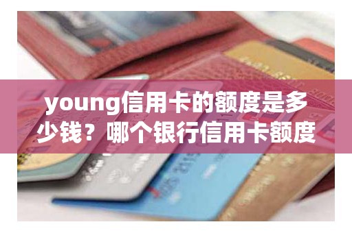 young信用卡的额度是多少钱？哪个银行信用卡额度高
