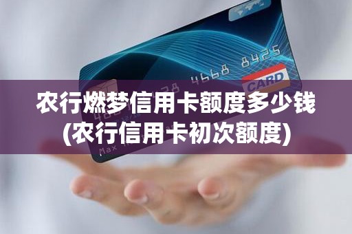 农行燃梦信用卡额度多少钱(农行信用卡初次额度)