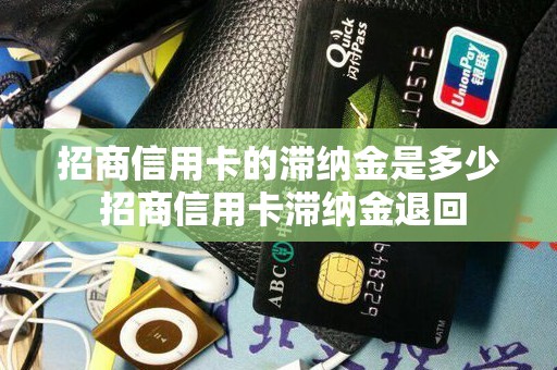 招商信用卡的滞纳金是多少 招商信用卡滞纳金退回