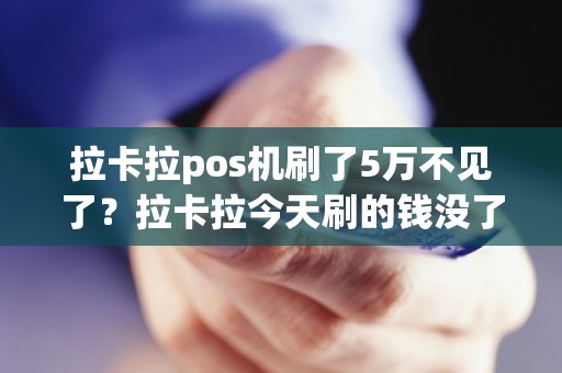 拉卡拉pos机刷了5万不见了？拉卡拉今天刷的钱没了，现在还没到账，怎么查询