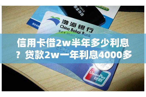 信用卡借2w半年多少利息？贷款2w一年利息4000多吗