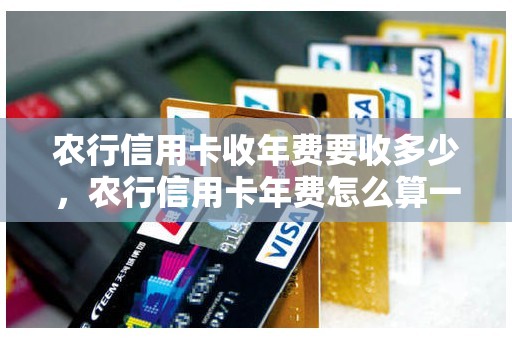 农行信用卡收年费要收多少，农行信用卡年费怎么算一年