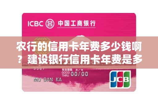 农行的信用卡年费多少钱啊？建设银行信用卡年费是多少钱