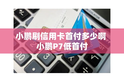 小鹏刷信用卡首付多少啊 小鹏P7低首付
