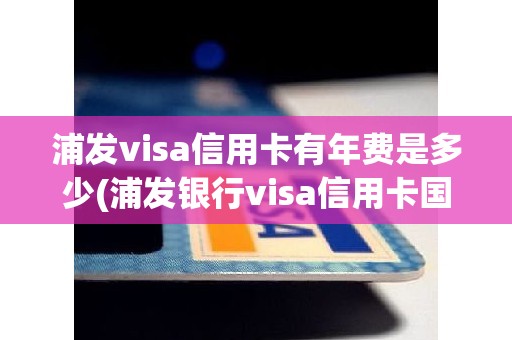 浦发visa信用卡有年费是多少(浦发银行visa信用卡国内能用吗)