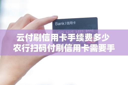 云付刷信用卡手续费多少 农行扫码付刷信用卡需要手续费吗