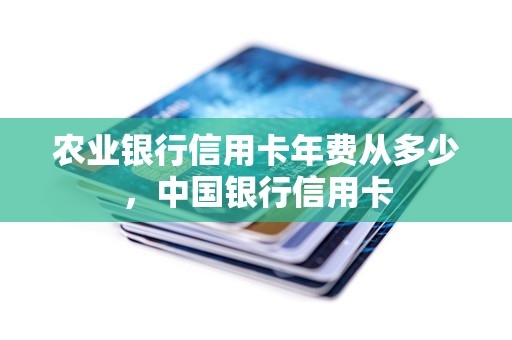 农业银行信用卡年费从多少，中国银行信用卡