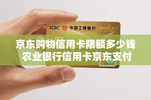 京东购物信用卡限额多少钱 农业银行信用卡京东支付限额