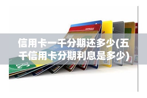 信用卡一千分期还多少(五千信用卡分期利息是多少)
