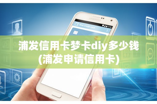 浦发信用卡梦卡diy多少钱(浦发申请信用卡)