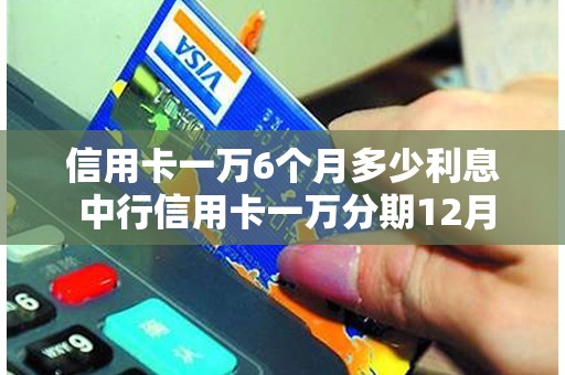 信用卡一万6个月多少利息 中行信用卡一万分期12月利息多少