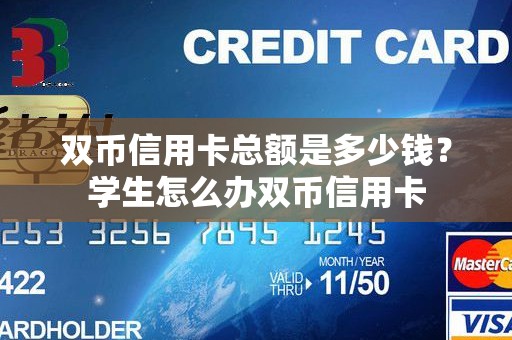 双币信用卡总额是多少钱？学生怎么办双币信用卡