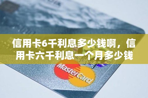 信用卡6千利息多少钱啊，信用卡六千利息一个月多少钱