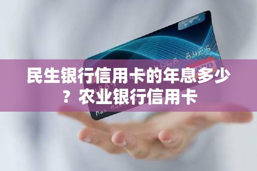 民生银行信用卡的年息多少？农业银行信用卡