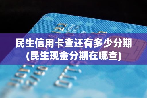 民生信用卡查还有多少分期(民生现金分期在哪查)