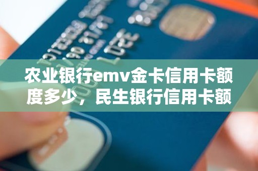 农业银行emv金卡信用卡额度多少，民生银行信用卡额度一般是多少