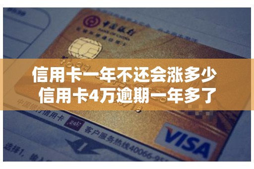 信用卡一年不还会涨多少 信用卡4万逾期一年多了