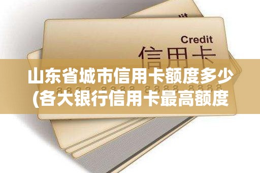 山东省城市信用卡额度多少(各大银行信用卡最高额度是多少)