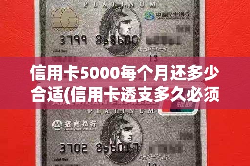 信用卡5000每个月还多少合适(信用卡透支多久必须还上)