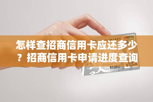 怎样查招商信用卡应还多少？招商信用卡申请进度查询