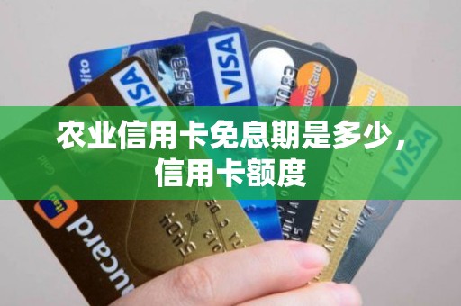 农业信用卡免息期是多少，信用卡额度