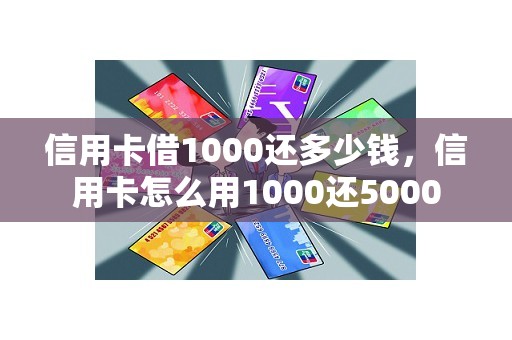 信用卡借1000还多少钱，信用卡怎么用1000还5000