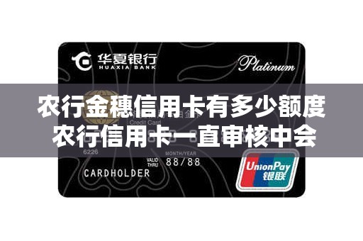 农行金穗信用卡有多少额度 农行信用卡一直审核中会拒吗