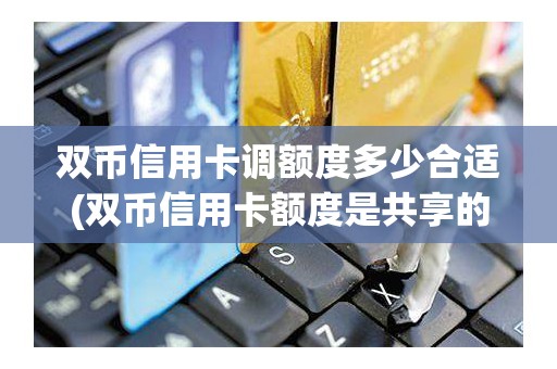 双币信用卡调额度多少合适(双币信用卡额度是共享的么)