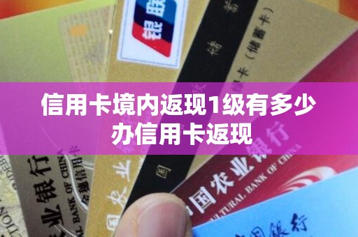 信用卡境内返现1级有多少 办信用卡返现