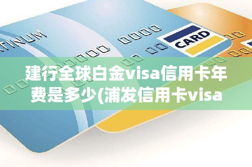 建行全球白金visa信用卡年费是多少(浦发信用卡visa白金卡)