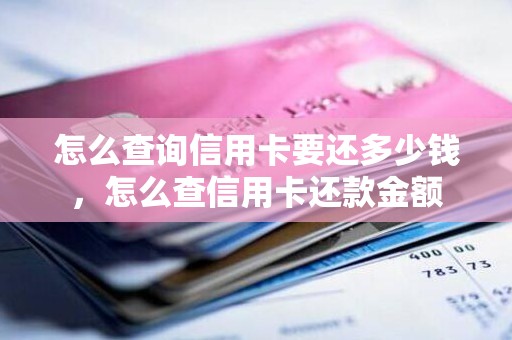 怎么查询信用卡要还多少钱，怎么查信用卡还款金额