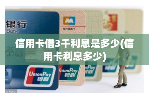 信用卡借3千利息是多少(信用卡利息多少)