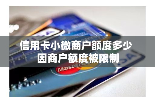信用卡小微商户额度多少 因商户额度被限制 信用卡小微商户额度多少 因商户额度被限制