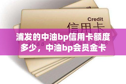 浦发的中油bp信用卡额度多少，中油bp会员金卡
