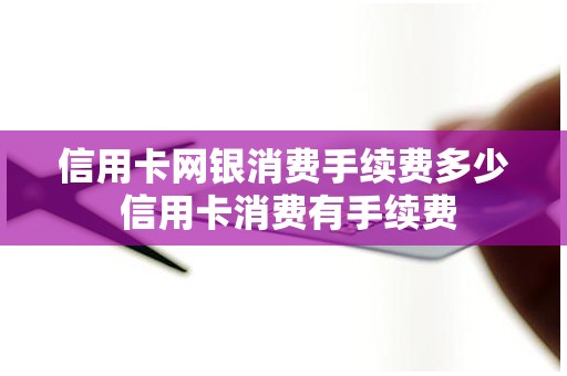 信用卡网银消费手续费多少 信用卡消费有手续费