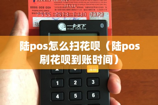 陆pos怎么扫花呗（陆pos刷花呗到账时间）