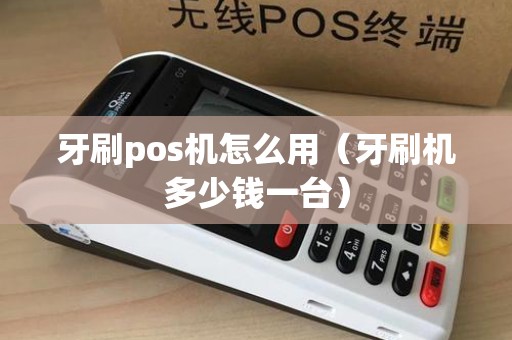 牙刷pos机怎么用（牙刷机多少钱一台）
