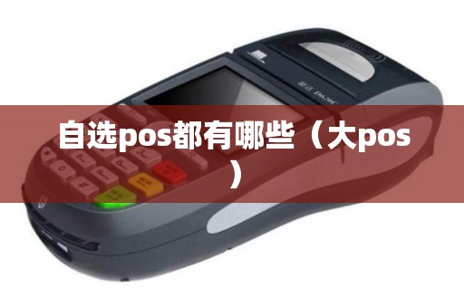 自选pos都有哪些（大pos）