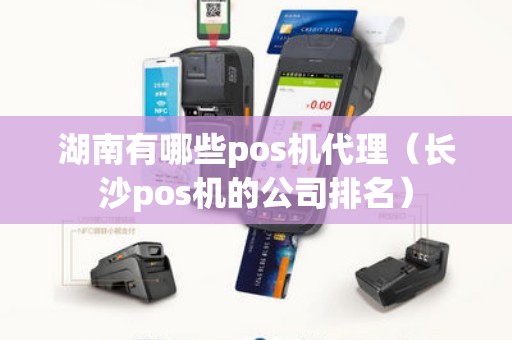 湖南有哪些pos机代理（长沙pos机的公司排名）